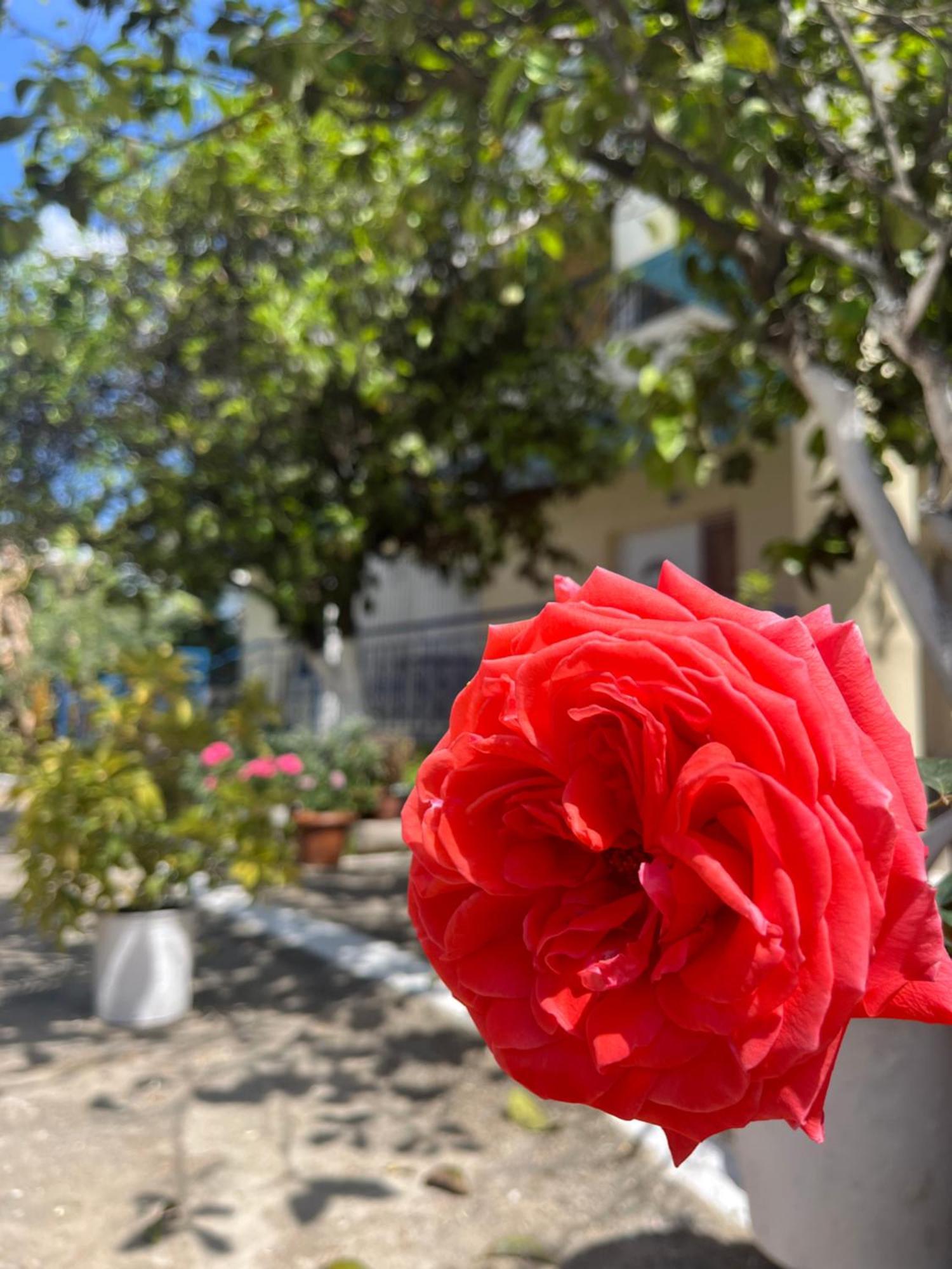 Hotel Portokali Himare Exterior foto